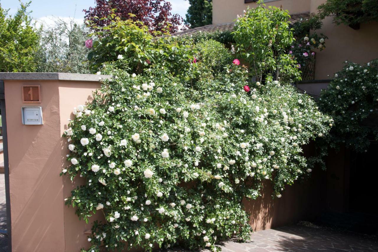 Casa Angolo Delle Rose オルヴィエート エクステリア 写真
