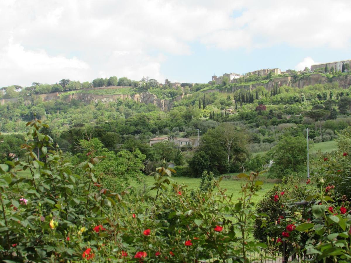 Casa Angolo Delle Rose オルヴィエート エクステリア 写真